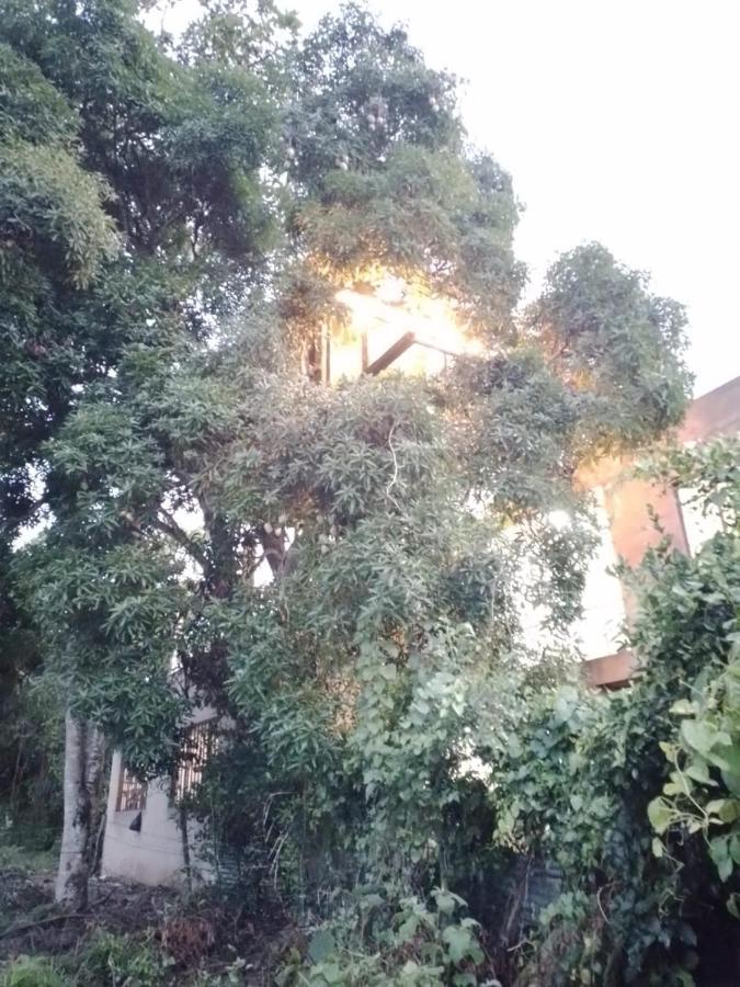La Casita Del Arbol Guaduas Cundi. Exterior foto